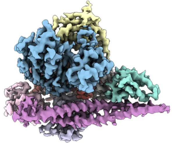 ساخت داروهای سرطان به چه نحوی است؟ ساخت داروهای سرطان به چه نحوی است؟