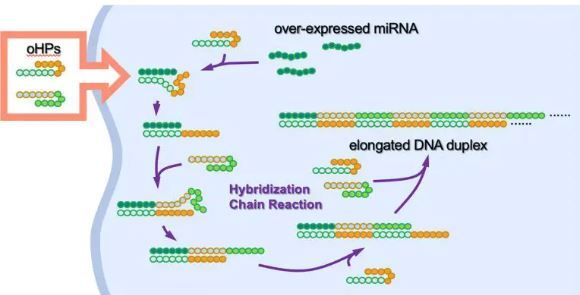 DNA مصنوعی؛ روشی کاملاً جدید برای کُشتن سرطان