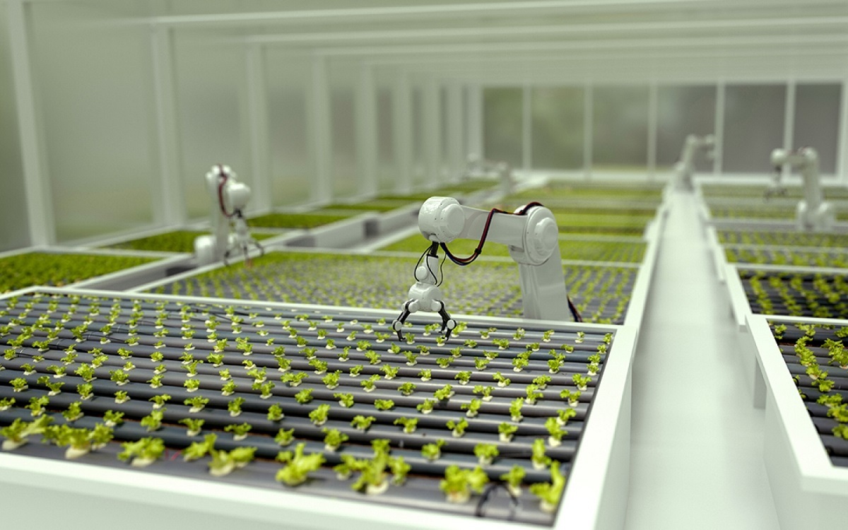 پیشگیری از هدر رفت میلیاردها تن مواد غذایی با بهکارگیری هوش مصنوعی در کشاورزی پیشگیری از هدر رفت میلیاردها تن مواد غذایی با بهکارگیری هوش مصنوعی در کشاورزی