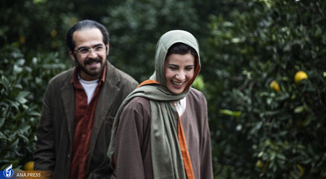 مرور خاطرات نویسنده ناکام در «جنگل پرتقال» مرور خاطرات نویسنده ناکام در «جنگل پرتقال»