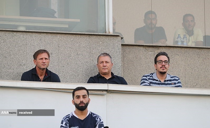 هوادار هوادار