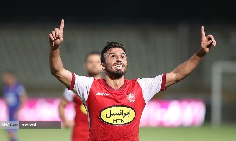 هوادار هوادار