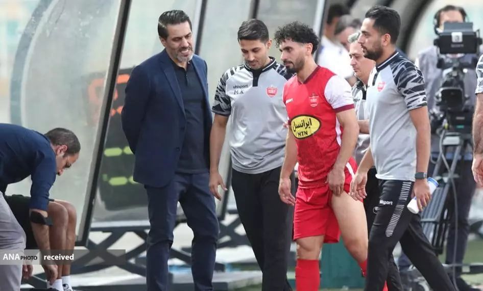 هوادار هوادار