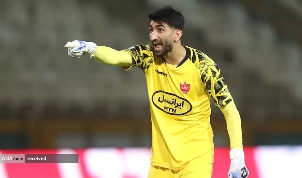 هوادار هوادار