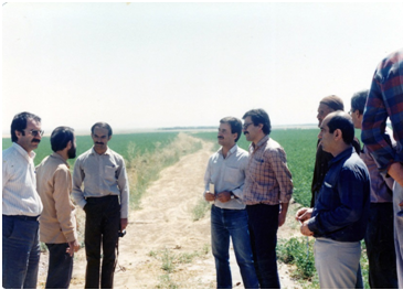 عبدالرحمان نفیسی، کارمند بانک کشاورزی و شهید مدافع بیت المال که بود؟ عبدالرحمان نفیسی، کارمند بانک کشاورزی و شهید مدافع بیت المال که بود؟