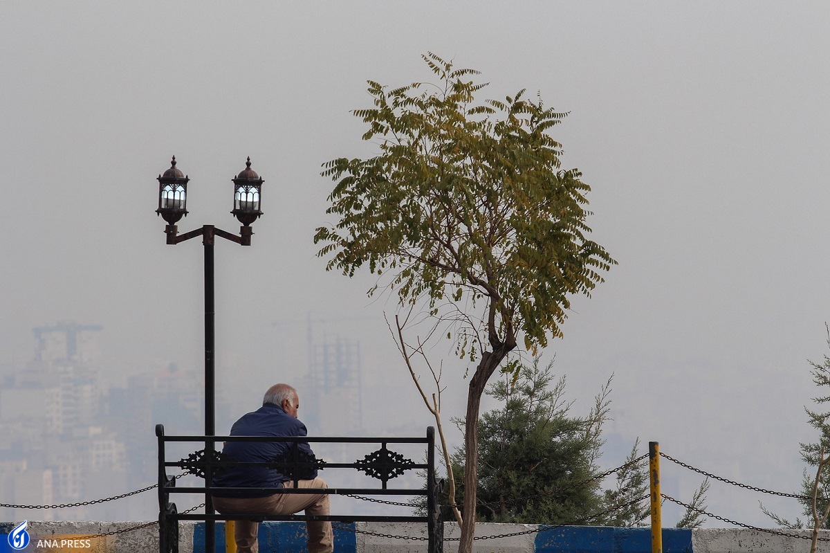 استنشاق دود خروجی از خودروها ارتباطات مغزی انسانها را مختل میسازد استنشاق دود خروجی از خودروها ارتباطات مغزی انسانها را مختل میسازد