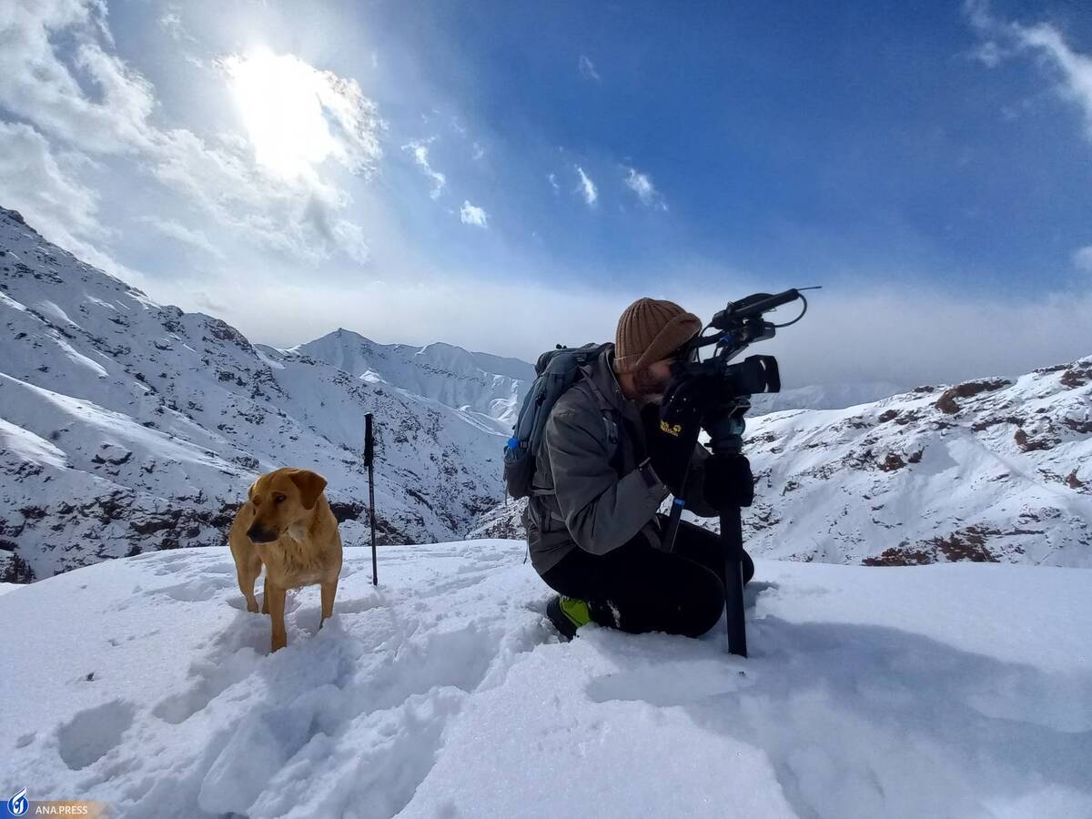 اولویتم در مستندسازی مخاطبان هستند نه جشنوارهها اولویتم در مستندسازی مخاطبان هستند نه جشنوارهها
