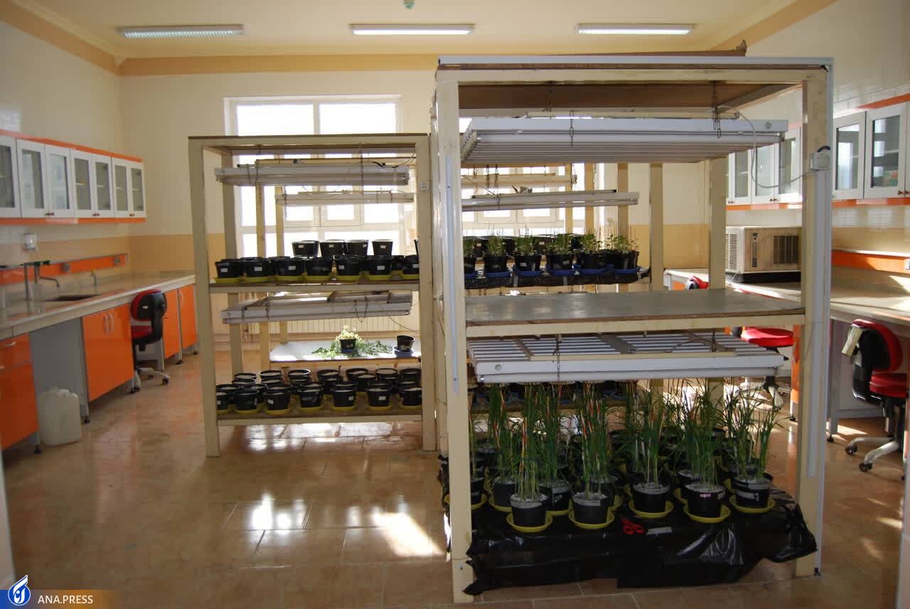 حمایت از فناوری‌های نوین کشاورزی و دامپروری