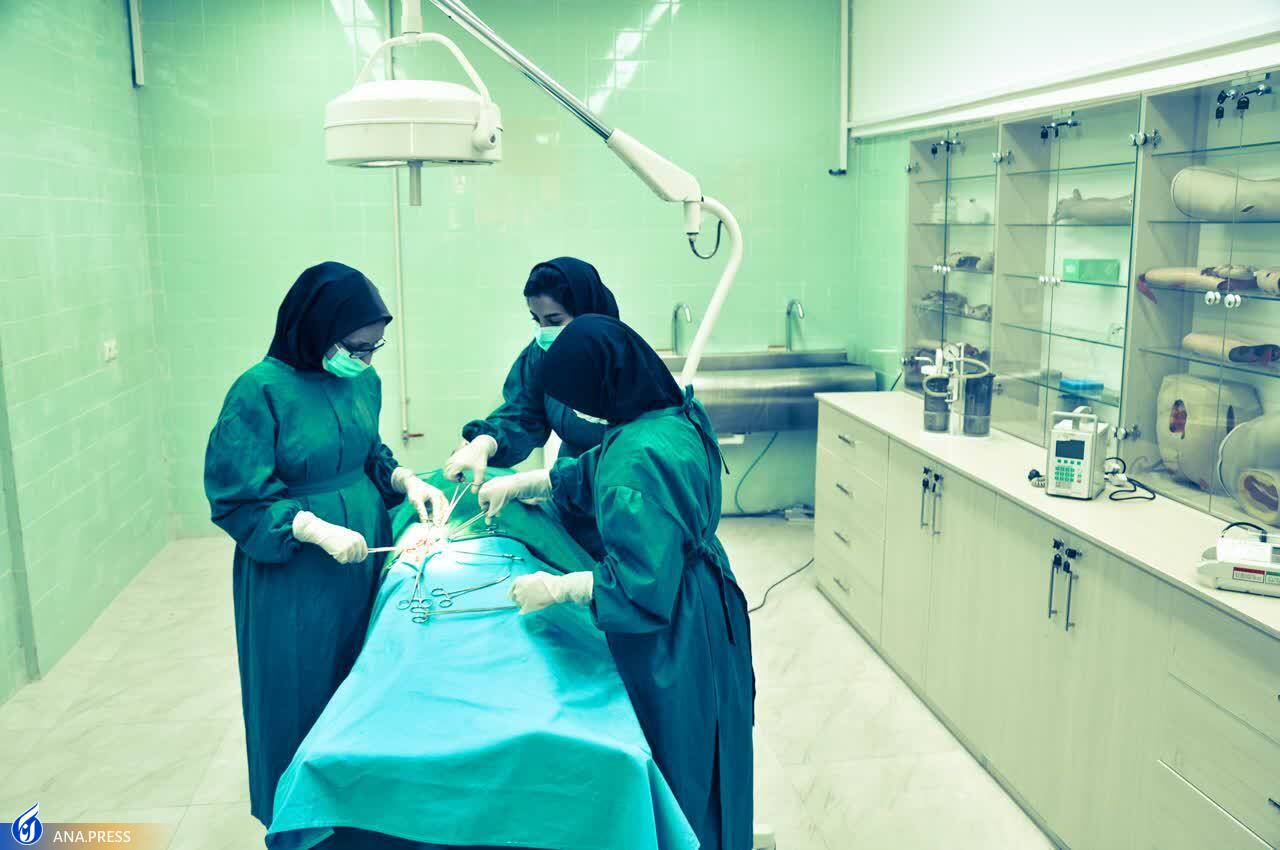 ورود زنان ایرانی به عرصههای سیاسی اجتماعی در سایه برابری قانونی و حقوقی ورود زنان ایرانی به عرصههای سیاسی اجتماعی در سایه برابری قانونی و حقوقی