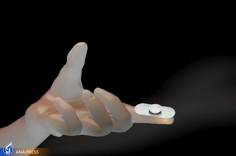 از طراحی نمونه‌ اولیه محصول فناورانه خانه‌های «پاپاپ» تا ساخت تختی با سرویس بهداشتی و حمام