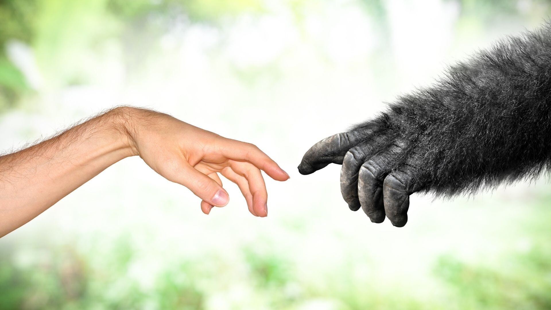 درمان ریزش مو انسان با شناخت ژنهای نهفته محقق شد درمان ریزش مو انسان با شناخت ژنهای نهفته محقق شد