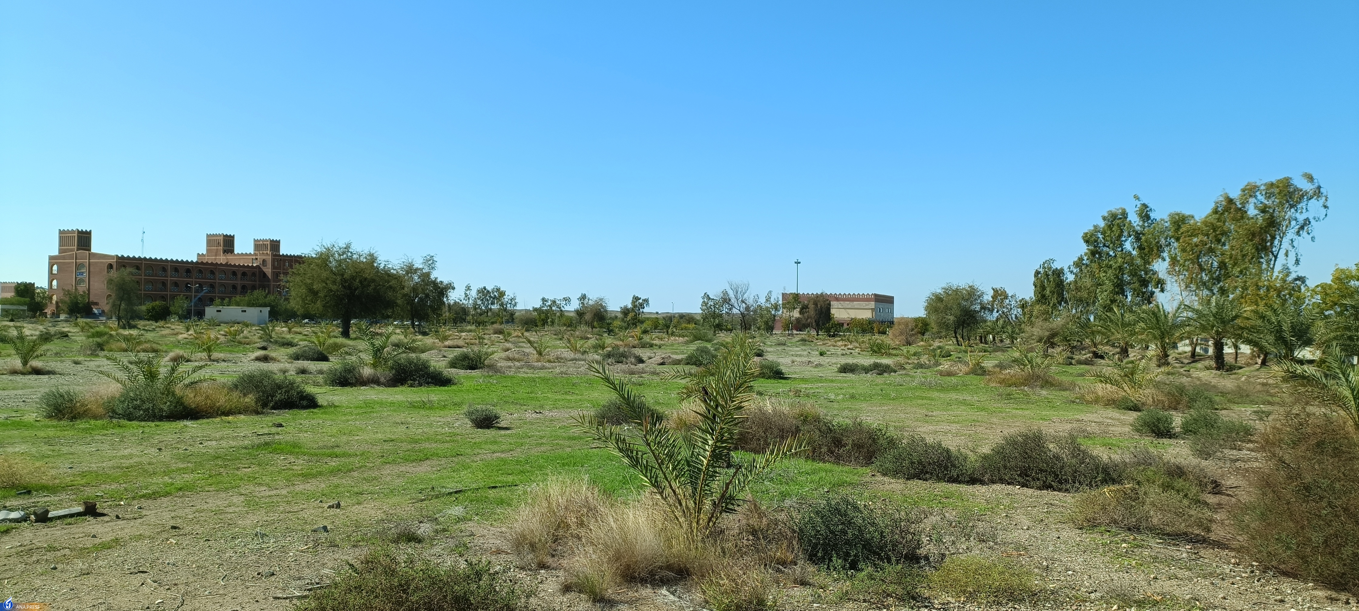 اجرای طرح ۱۵ هکتاری کشت مرکبات، نخیلات و انبه در میناب