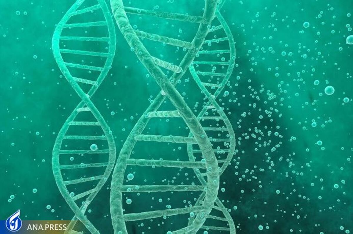 تجربیات اولیه زندگی می‌تواند تأثیر طولانی مدت بر ژن‌ها داشته باشد