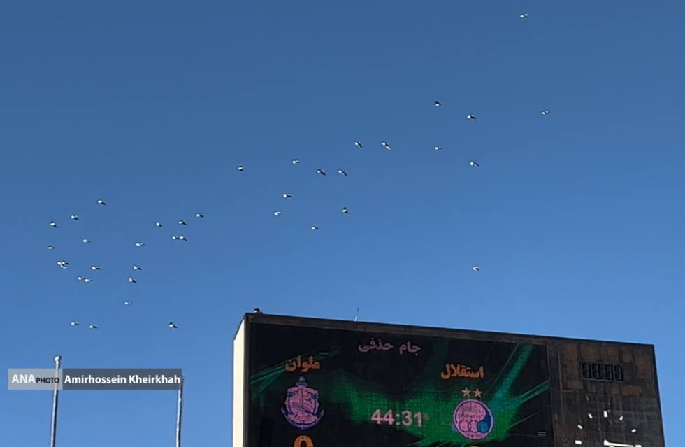 پرواز مرغان دریایی بر فراز ورزشگاه آزادی+ تصاویر