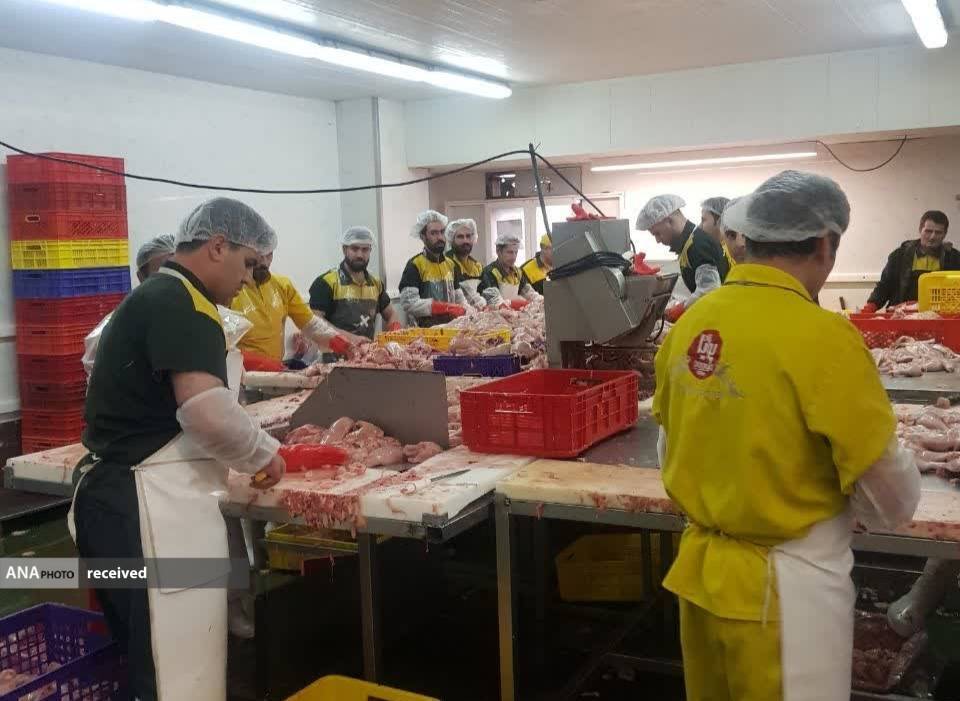 شروع تولید محتوای ویدئویی مهارتی اشتغال محور دانشجویی در برای بارگذاری در سامانه کاتب