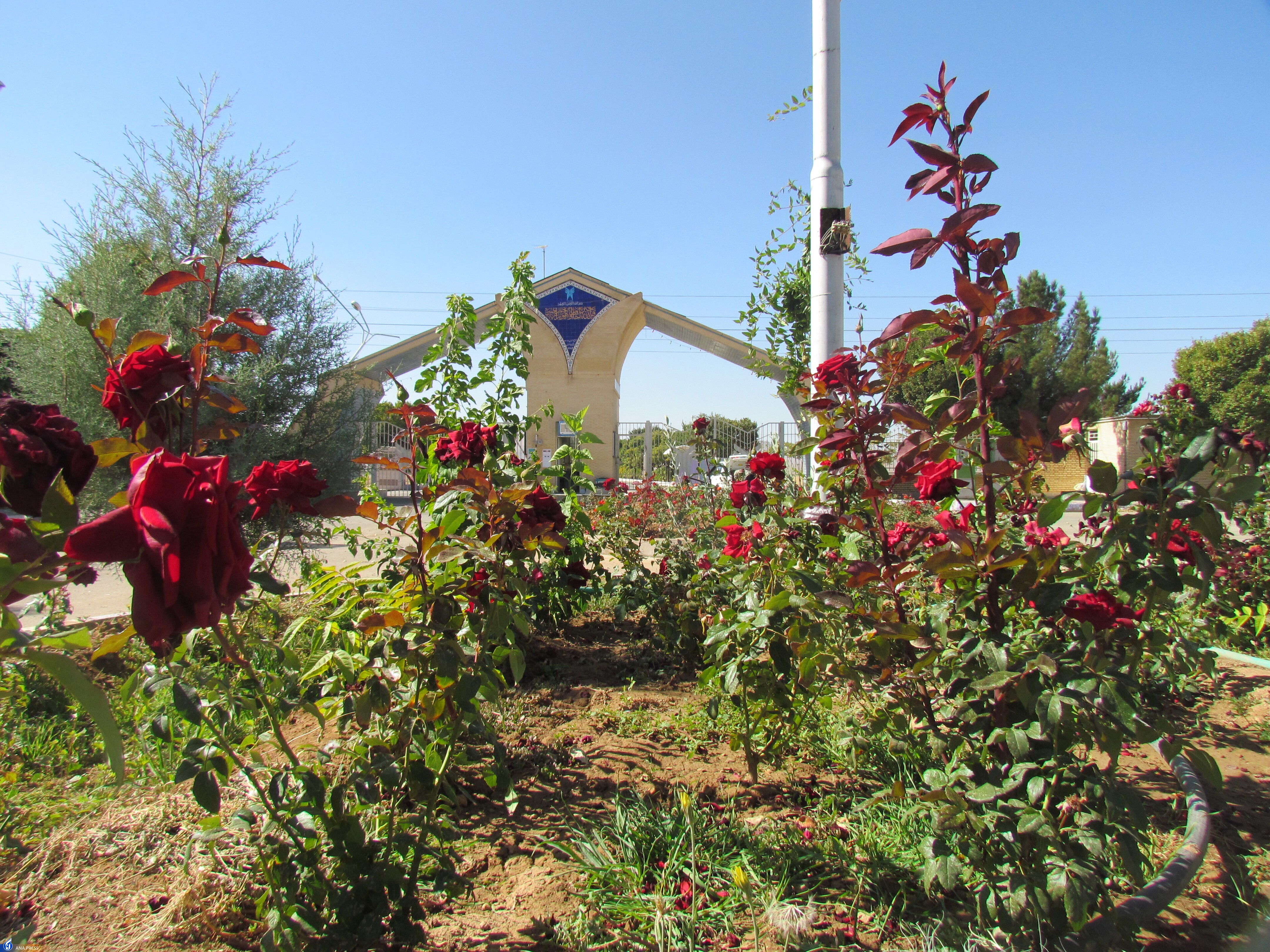 ۳۳ سال بالندگی دانشگاه آزاد در شهر میمه چگونه گذشت؟ ۳۳ سال بالندگی دانشگاه آزاد در شهر میمه چگونه گذشت؟