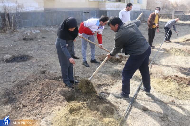 کاشت درخت در دانشگاه آزاد اسلامی واحد کاشان کاشت درخت در دانشگاه آزاد اسلامی واحد کاشان