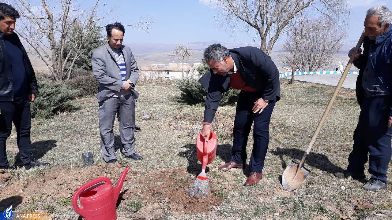 کاشت درخت در دانشگاه آزاد اسلامی واحد کاشان کاشت درخت در دانشگاه آزاد اسلامی واحد کاشان