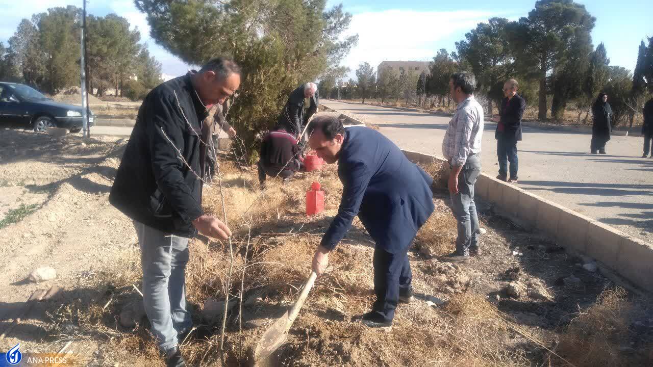 کاشت درخت در دانشگاه آزاد اسلامی واحد کاشان کاشت درخت در دانشگاه آزاد اسلامی واحد کاشان