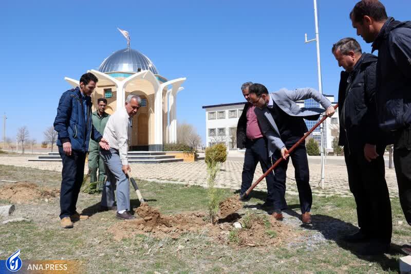 کاشت درخت در دانشگاه آزاد اسلامی واحد کاشان کاشت درخت در دانشگاه آزاد اسلامی واحد کاشان