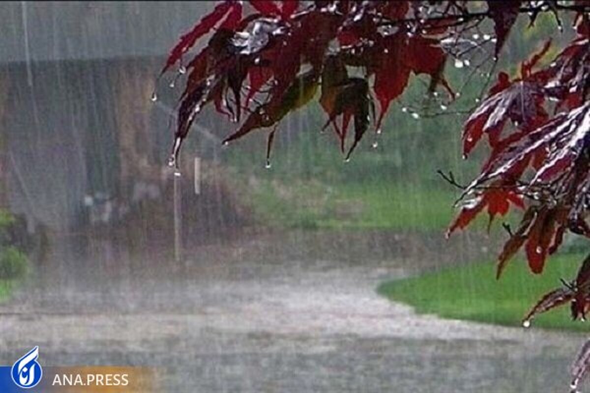 بارش باران و وزش باد شدید در غالب نقاط کشور