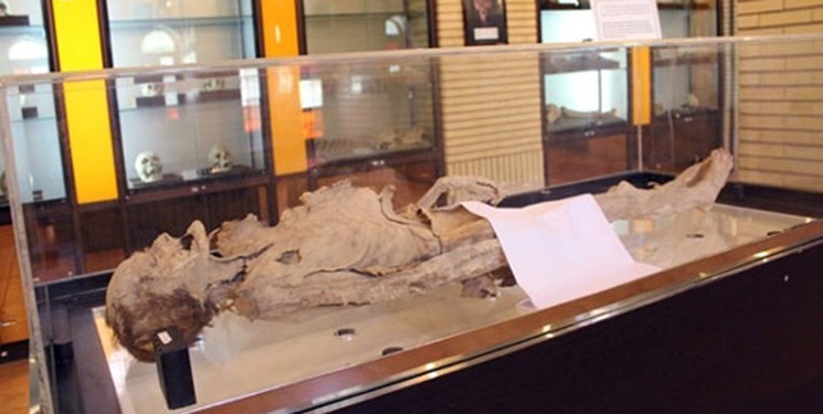 معرفی اماکن و جاذبههای گردشگری بوشهر معرفی اماکن و جاذبههای گردشگری بوشهر