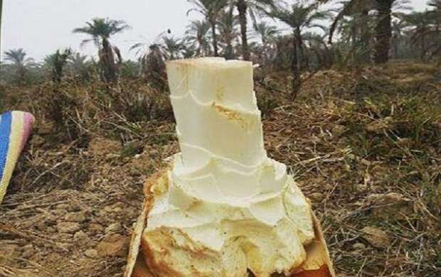 در سفر به بوشهر چه خوراکیهایی را به سوغات بیاوریم؟ در سفر به بوشهر چه خوراکیهایی را به سوغات بیاوریم؟