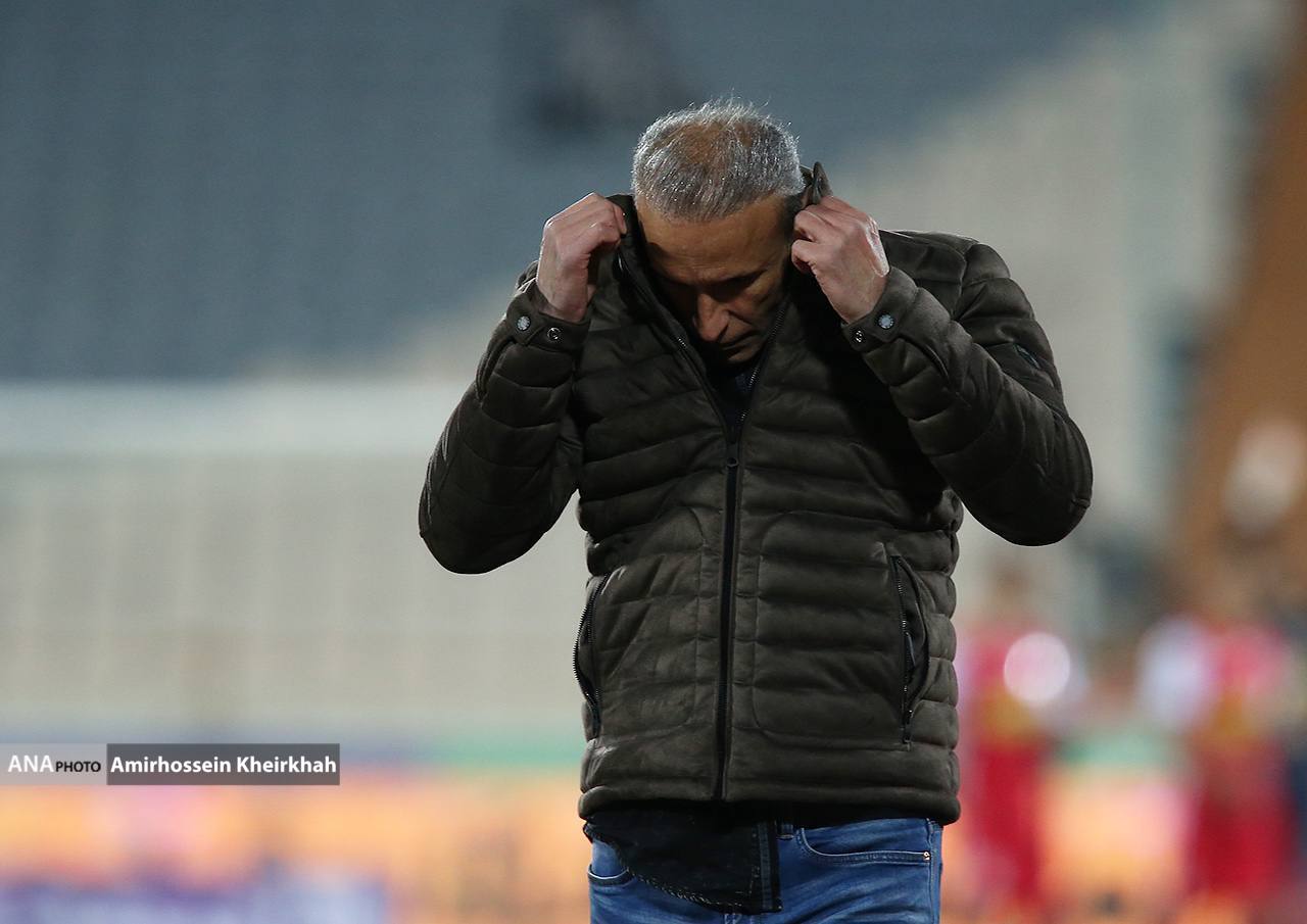 گل‌محمدی سر در گریبان برد+تصاویر