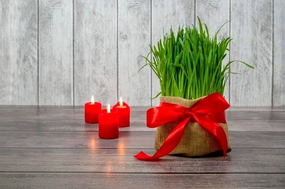 چطور سبزههای عید را سریع سبز کنیم؟ چطور سبزههای عید را سریع سبز کنیم؟