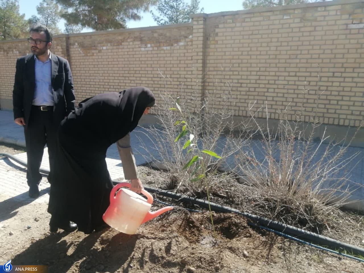 قطار جویندگان علم در ریل دوستی با طبیعت قطار جویندگان علم در ریل دوستی با طبیعت