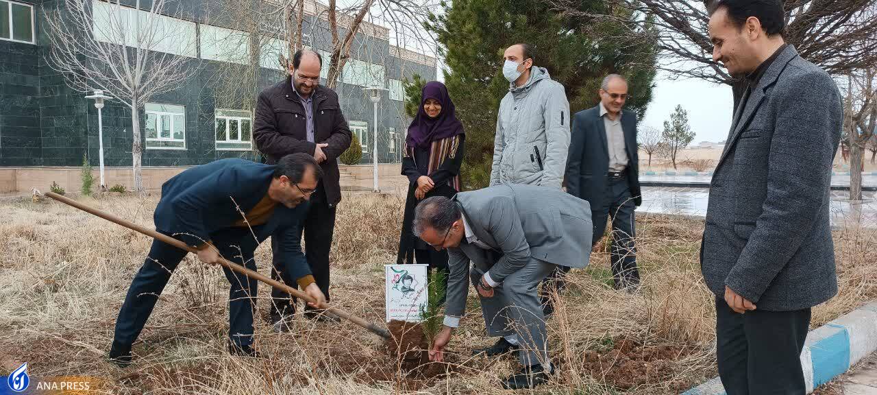 بزرگداشت روز شهدا در واحدهای دانشگاه آزاد