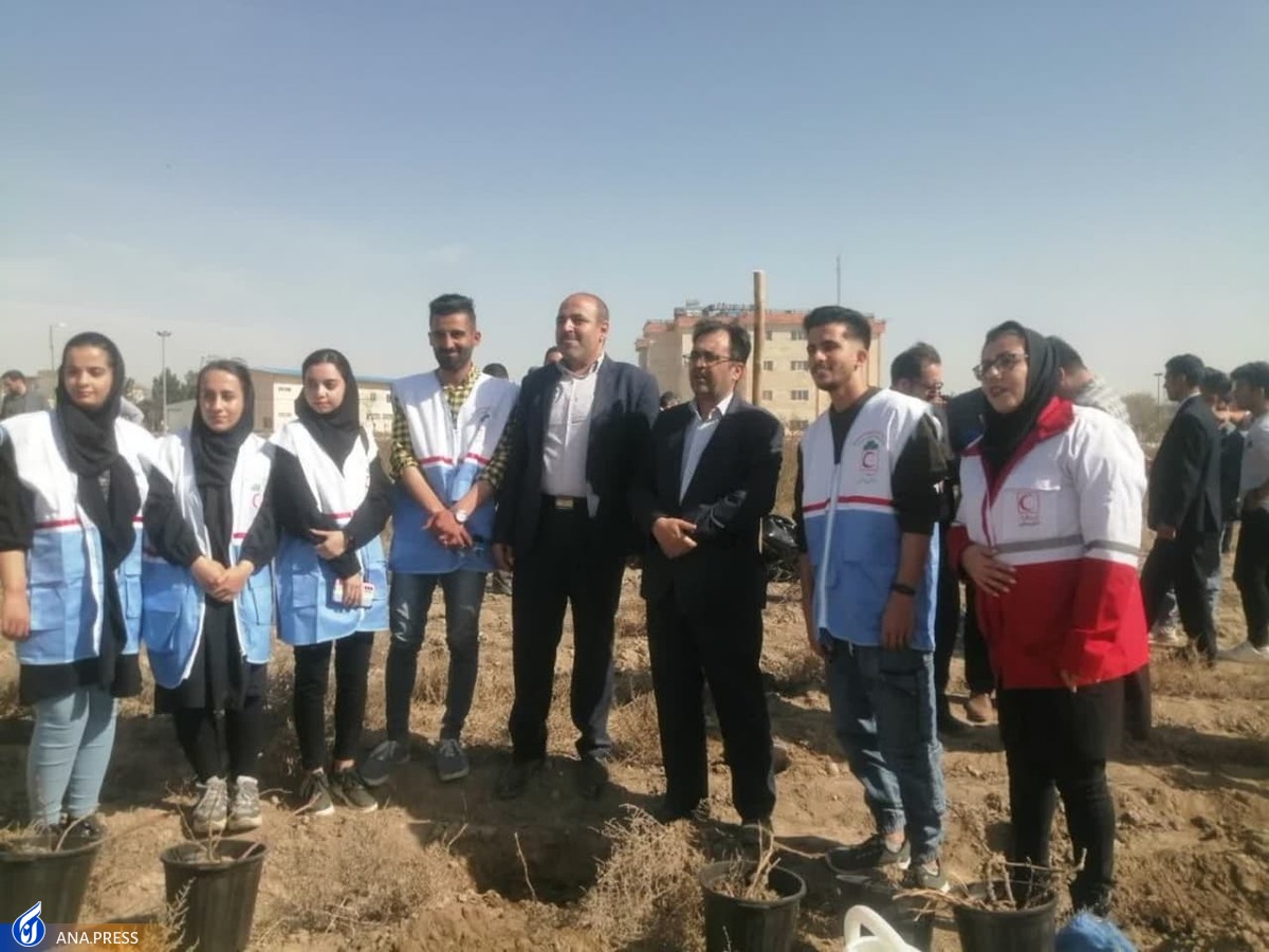 غرس ۳ هزار و ۹۷ اصله نهال به یاد شهدای دانشجو در دانشگاه آزاد ملارد