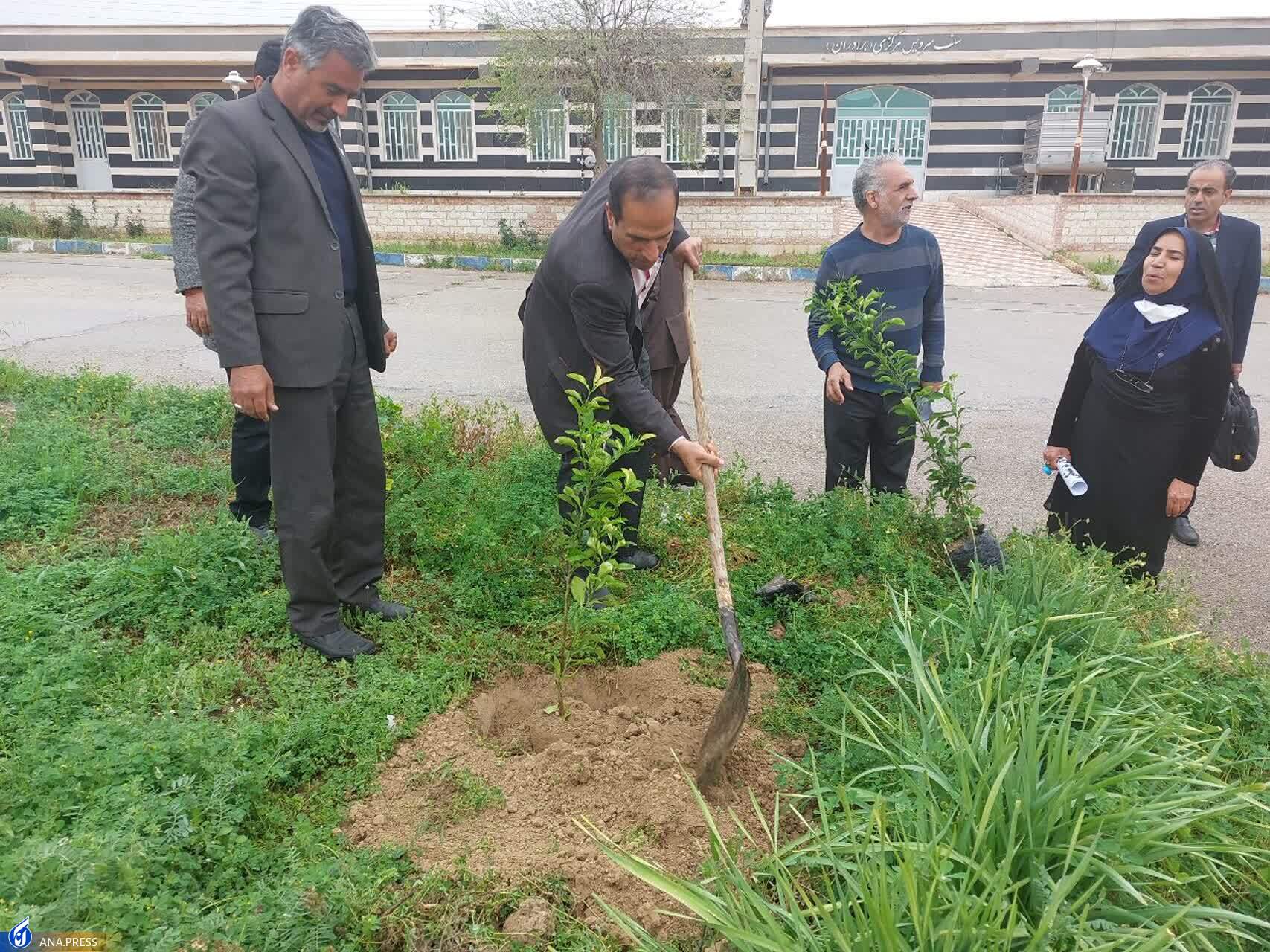 از کاشت درخت به یاد شهید تا دلجویی از خانواده‌ شهدا