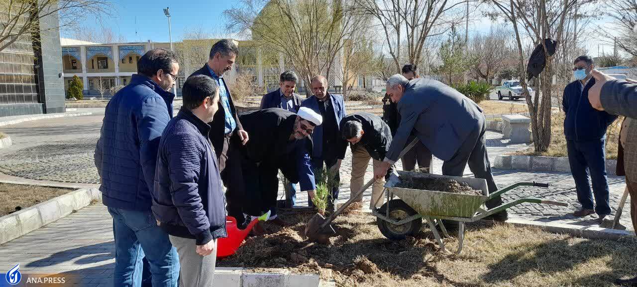 از کاشت درخت به یاد شهید تا دلجویی از خانواده‌ شهدا