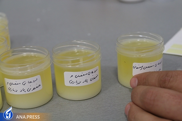 ۲۰ طرح فناور و دانشبنیانی که قابلیت تجاریسازی و اشتغالزایی دارند ۲۰ طرح فناور و دانشبنیانی که قابلیت تجاریسازی و اشتغالزایی دارند