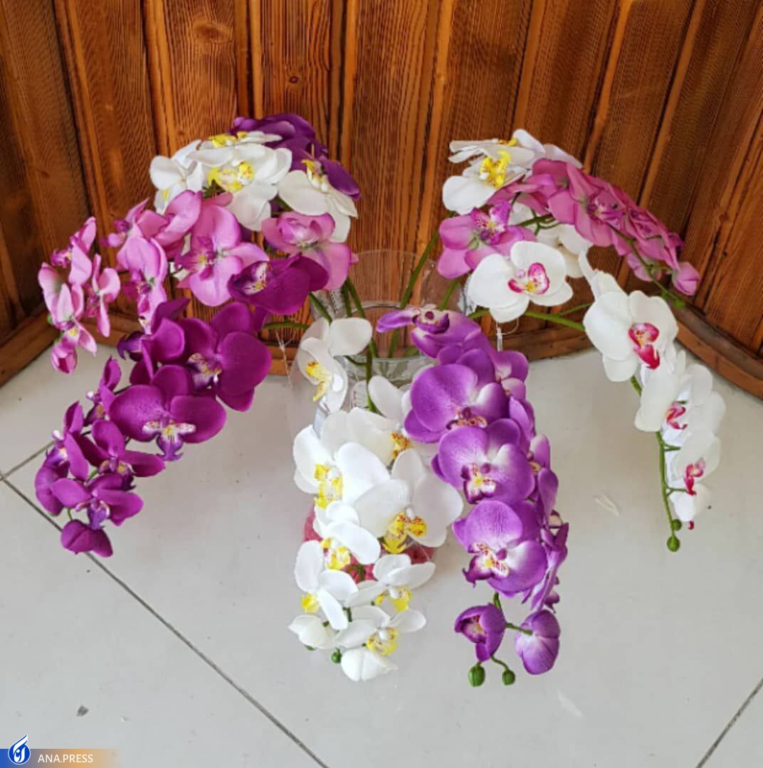 خودکفایی در تولید مصنوعی گل‌های شاخه‌ای و بوته‌ای با نقش‌آفرینی نخبگان