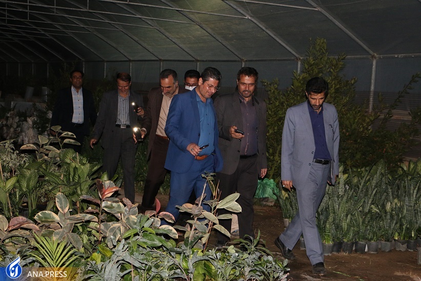 نمایشگاه دانشبنیانی گیاهان زینتی و آپارتمانی واحد زاهدان گشایش یافت نمایشگاه دانشبنیانی گیاهان زینتی و آپارتمانی واحد زاهدان گشایش یافت