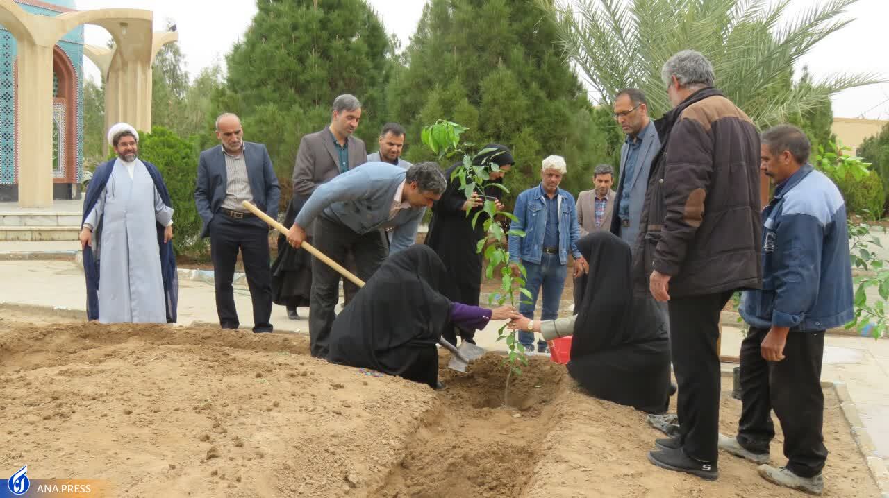 از کاشت درخت به یاد شهید تا دلجویی از خانواده‌ شهدا