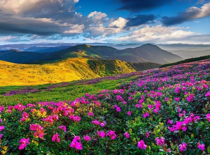 نگاهی به حسوحال نوروز در ایروان نگاهی به حسوحال نوروز در ایروان