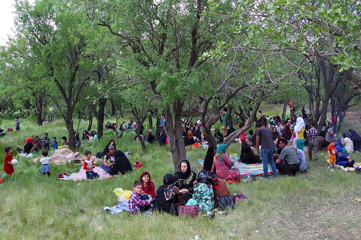 آیین پنجاه بدر در قزوین به چه صورت اجرا میشود؟ آیین پنجاه بدر در قزوین به چه صورت اجرا میشود؟