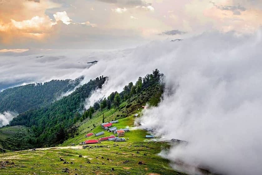 معرفی جنگل ابر شاهرود+بررسی قدمت آن معرفی جنگل ابر شاهرود+بررسی قدمت آن