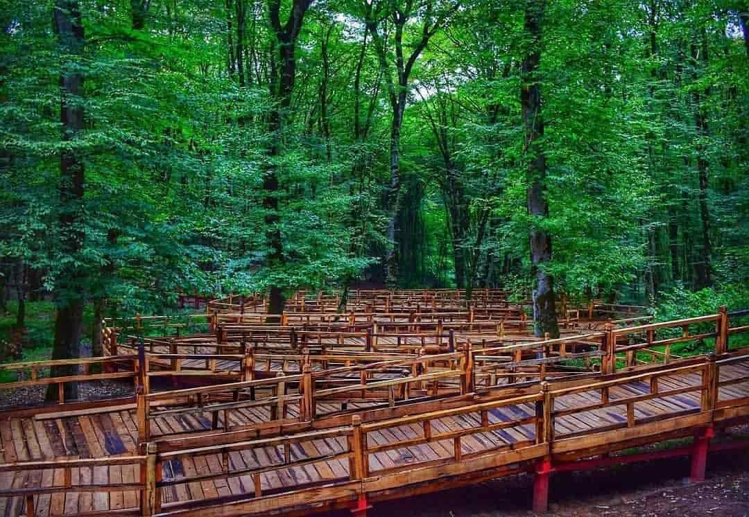 معرفی پارک جنگلی ناهارخوران در گرگان معرفی پارک جنگلی ناهارخوران در گرگان