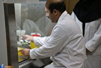 کسب مقام نخست هسته فناور دانشگاه آزاد اسلامی اردبیل