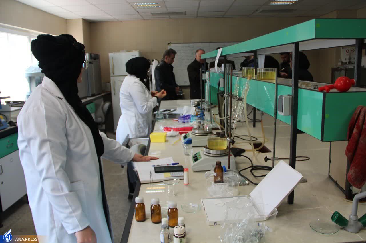 موفقیت‌‌هایی با طعم فناوری؛ از راه‌اندازی سرای نوآوری برنج تا ایجاد مرکز رشد سلامت و دارو