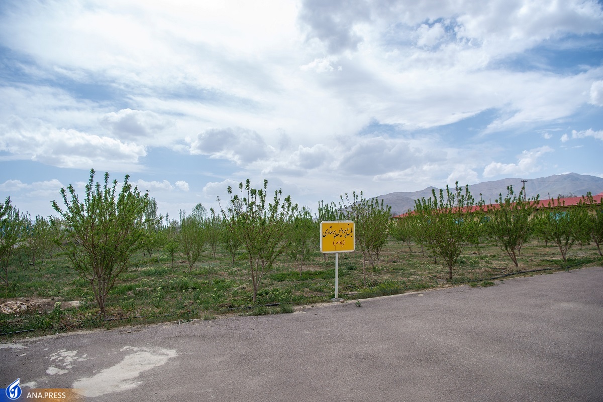افزایش۳۰ درصدی حضور دانشجویان در طرح پویش دانشگاه آزاد گلپایگان افزایش۳۰ درصدی حضور دانشجویان در طرح پویش دانشگاه آزاد گلپایگان