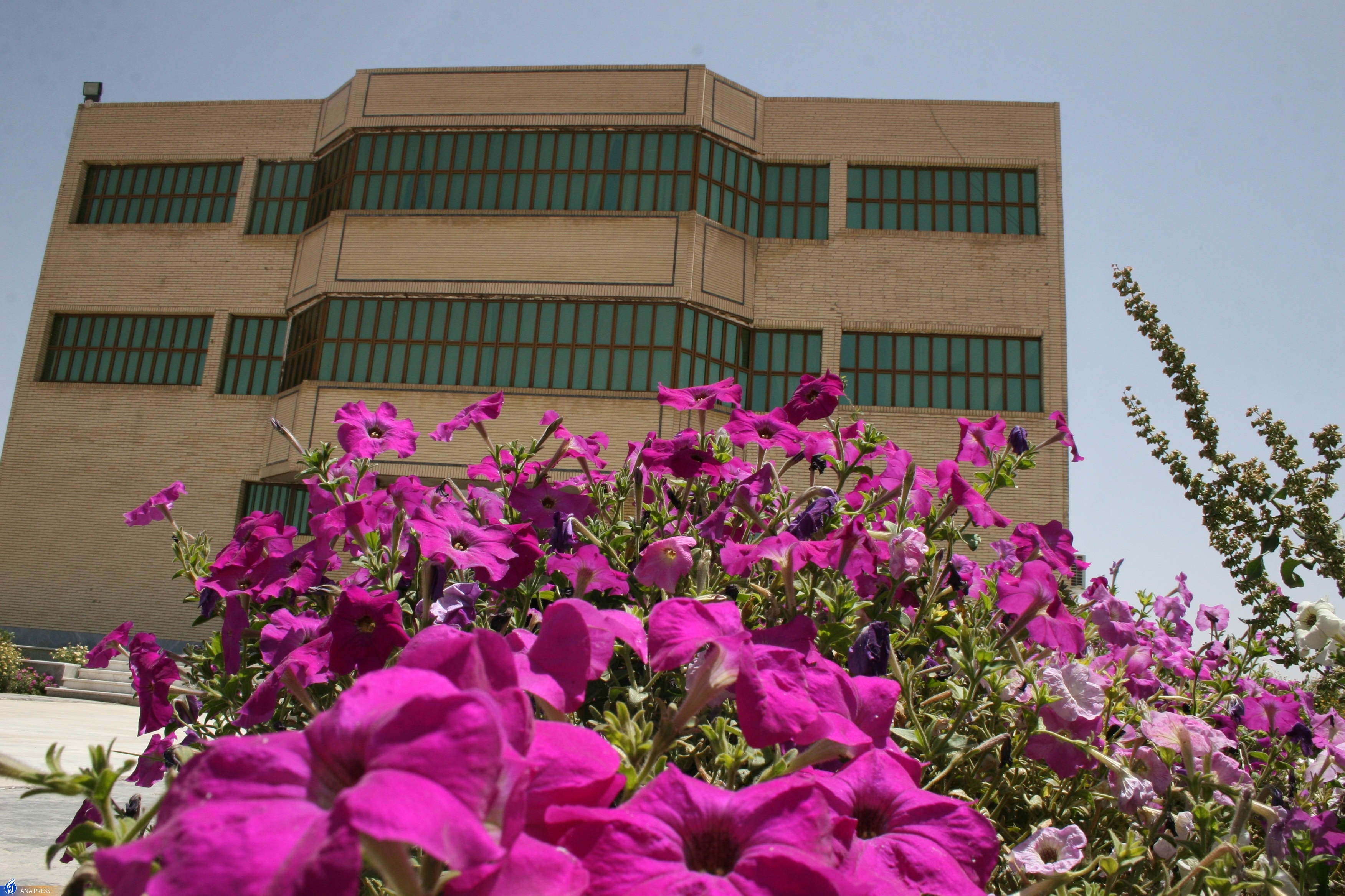 از ارائه ۴۰ طرح پژوهشی و ۱۰۰ مقاله علمی تا احیای مزرعه تحقیقاتی