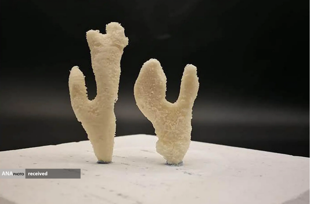 تولید ماده‌ای استخوان مانند با استفاده از باکتری