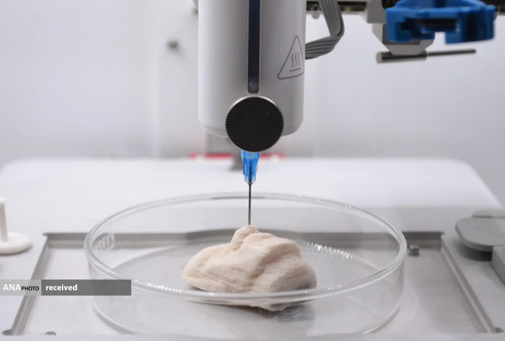 تولید مادهای استخوان مانند با استفاده از باکتری تولید مادهای استخوان مانند با استفاده از باکتری