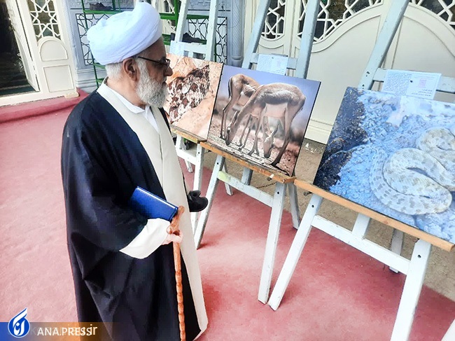 نمایشگاه عکس تنوع زیستی استان یزد برپا شد نمایشگاه عکس تنوع زیستی استان یزد برپا شد