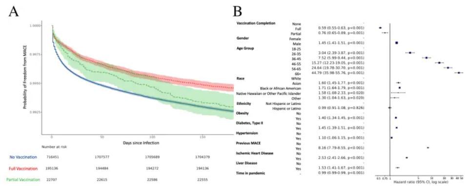واکسیناسیون کووید-۱۹ با حملات قلبی، سکته مغزی و سایر مشکلات قلبی عروقی کمتر مرتبط است واکسیناسیون کووید-۱۹ با حملات قلبی، سکته مغزی و سایر مشکلات قلبی عروقی کمتر مرتبط است
